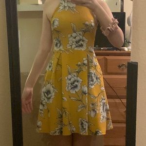 Yellow white flowers